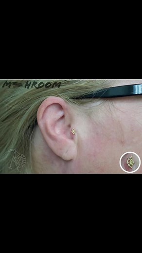 Inkwell Tattoos on Reels