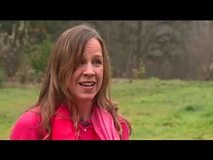 Sex Trafficked as a Teen, Woman Claims Seattle-Area Hotels, Craigslist Were Complicit
