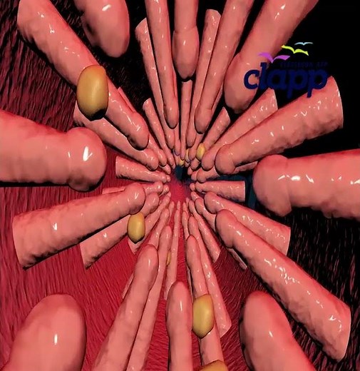 Trachea - The Hidden Highway of Breath (3D Animation)