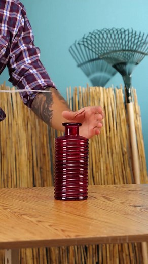 Indoor gardening hacks to brighten up your room | Green Bean