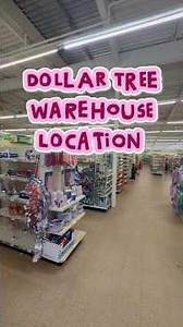 DOLLAR TREE HAS AN XL WAREHOUSE LOCATION?? 😱 #dollartree
