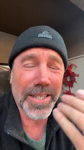 328K views · 17K reactions | 37 year old woman Minnesota | Drayton Nay | Facebook