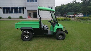 [Hot Item] Modern 2 Seater off Road UTV Utility Vehicle