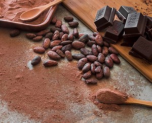 Why You Should Add Cocoa Powder To Your Daily Diet | Herzindagi