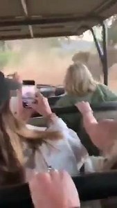 ATAQUE DE ELEFANTE A TURISTAS. #VIDEO #MULTIRED #ATACAELEFANTE El escalofriante ataque de un elefante a unos turistas en pleno safari africano | Multimedios Tehuacan