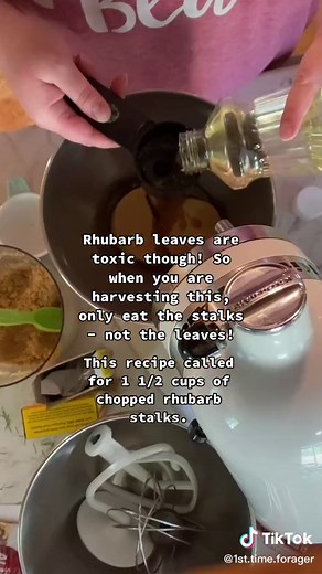 Almond Rhubarb Coffee Cake Part 1 #foraging #rhubarb #baking #firsttime #firsttimeforager #forager #TeamUSATryout #PepsiApplePieChallenge