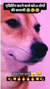 #dogs #dance | VIP Singer