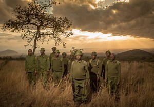 46 reactions | Today we pay tribute to the men and women who risk...