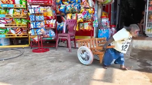 Yoyo Jr and the rabbit go to the market to buy some food #monkey #monkeyyoyo | Monkey YoYo Jr