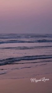 1.8K views · 59 reactions | Playa de Tuxpan, amanecer, #turismotuxpan #Tuxpan #TuxpanVeracruz #Tuxpanízate #playa #beach #travel | Tuxpan.com.mx - Tuxpan, Veracruz | Facebook