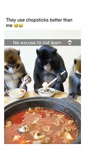 Monkey see, monkey do 🐒 | Meme TV