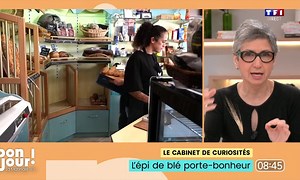 Le cabinet de curiosités : L'épi de blé porte-bonheur