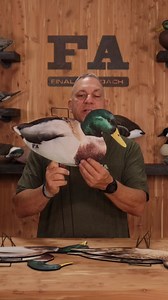 Here they are! The Last Pass Mallard Silhouettes. Mario gives the breakdown on these new decoys. If you want to learn more, head over to fabrand.com #fabrand #finalapproach #waterfowl #duckhunting #hunting #waterfowlhunting #goosehunting #ducks | Final Approach Waterfowl