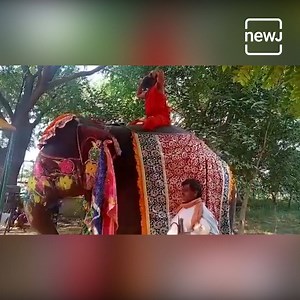 ‘Inspired By Indian Economy’: Netizens React To Yoga Guru Baba Ramdev Falling Off An Elephant | Briefly