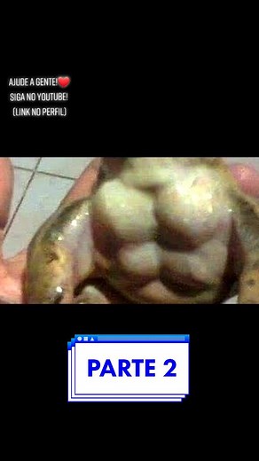 VLAD TA DIFERENTE KKKK #fy #fyp #foryoupage #brasil #discord #memes #historia #engraçado #viral #fun #divertido #tiktok #pravocê #risada #areasecreta