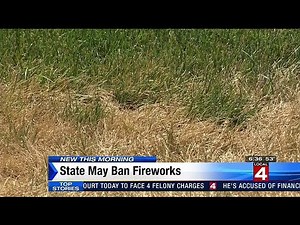 Michigan considering fireworks ban amid dry weather spell