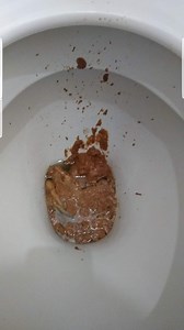 Desperate morning shit on mates loo, only just made it!