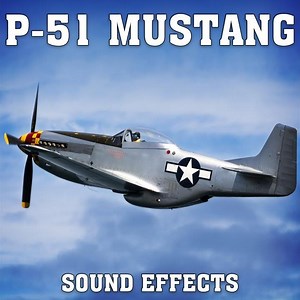 P-51 Mustang: Sputtering Idle With Engine Cough