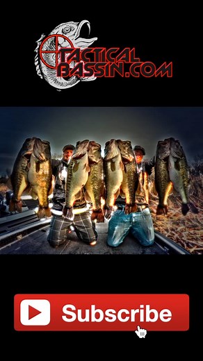 Is there anything better than a big bass crushing a topwater lure on the surface?!?! These are the bites you replay over and over in your head to get through the Winter months. If you're not slinging topwater right now, you're missing out! THE BAIT... •Evergreen Shower Blows 125: https://bit.ly/2zIkqUH Color: Bone BUDGET TOPWATER COMBO... Rod– Shimano SLX A 6'10" Medium: https://bit.ly/2mGp1Vc Reel– Shimano SLX 150 XT (HG): https://bit.ly/2BRTYL8 Line– Power Pro Maxcuatro 40 lb: https://bit.ly/2