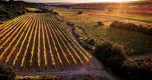 Vidéo. Saint-chinian fait son cinéma !