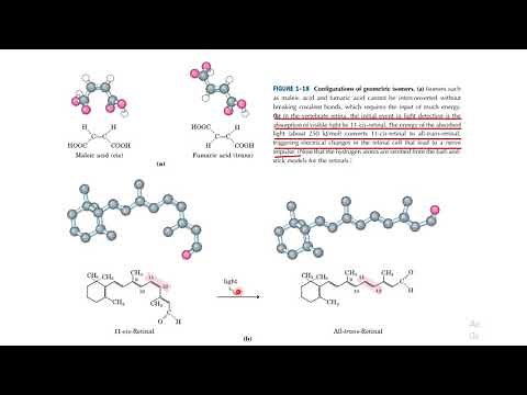 Chap 1 Chemical Foundation: Lehninger