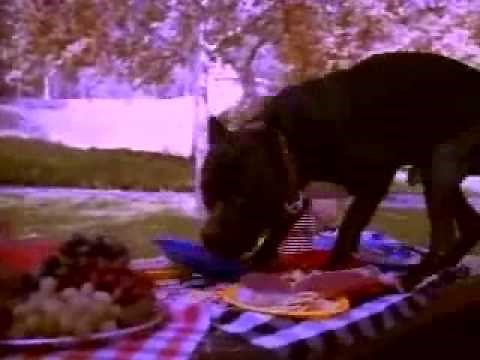 Snoop Dogg - Doggystyle (Official Music Video)