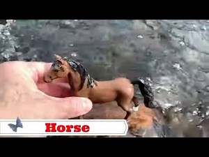 🧼 Washing Muddy Farm Animals! Learn Sounds & Clean Toys for Kids