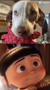 Mattie is a sweet, laid-back girl who loves nothing more than snuggling up with her humans. She’s full of personality, always carrying her favorite toy (a crab!) around to show it off proudly. While she enjoys playing with other dogs, Mattie’s happiest moments are when she’s cuddled up next to you—whether you're relaxing or working from home. She'll follow you around the house and stop by for scratches, making sure you know she's there for you. Mattie is great with kids, house-trained, and gets 