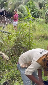 169K views · 1.3K reactions | Pucak sebuah hobi..!! | Agam porbi chanel | Facebook