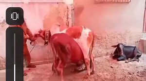 Qasai was short staffed so bachra decided to help | Motivational Quotations