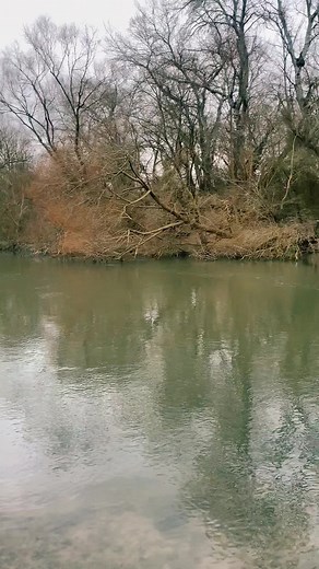 DaCatfishChaserPetroww on TikTok