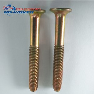 [Hot Item] Heavy-Duty Zinc-Coated Screws for Secure Shipping Container Assembly