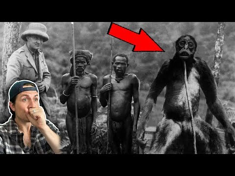 Top 3 SCARIEST run-ins with unknown predators | Missing 411 (Part 20)