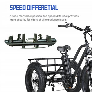 [Hot Item] China Wholesale 3 Wheel Electric Tricycle with Fat Tire