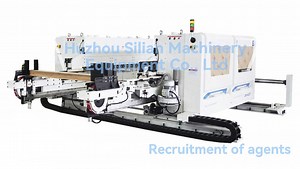 [Hot Item] Woodworking Transverse Double-End Tenoner Machine