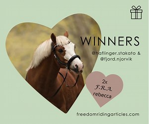 14 reactions | 拾 Congratulations @haflinger.stakato & her bestie @fjord.njorvik! Please send us a DM with your information. | Freedom Riding Articles - FRA | Facebook