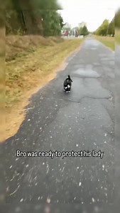 80K views · 3.1K reactions | Oh to be two cats in love 凉 . . . ❤️...