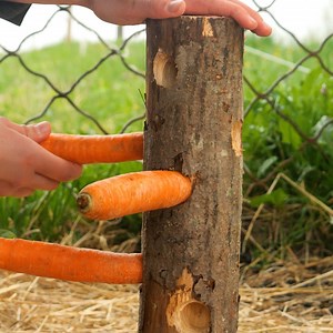 Awesome DIY Farm Tools Thanks for watching! Please be aware that this video is for entertainment purposes only and techniques shown should not be attempted at home! | Crafty Panda How