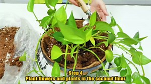 Legigo 6 Pack 14 Inch Hanging Basket Coco Liners Replacement, 100% Natural Round Coconut Coco Fiber Planter Basket Liners for Hanging Basket Flowers/Vegetables