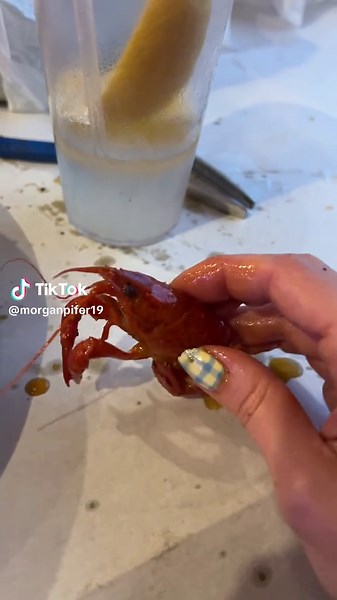 Morgan Pifer on TikTok