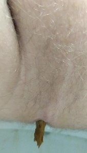 Desperation poo - ThisVid.com