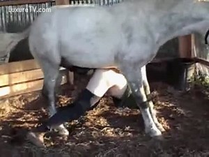 Horse Thrust his Huge Cock Inside Her Ass