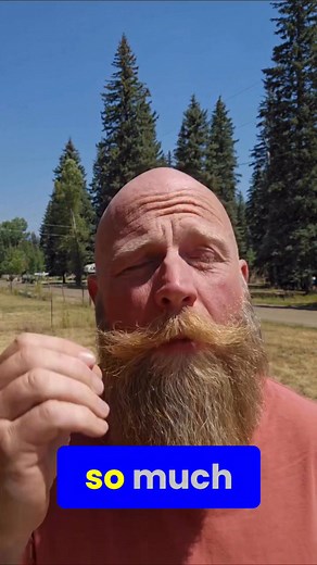 Hangover Help | Robert Hollis