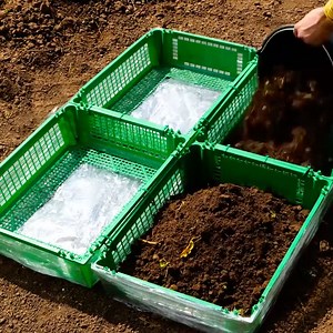 77K views · 176 reactions | Trucos de agricultura y jardinería imprescindibles | Ideas en 5 minutos Niños | Facebook