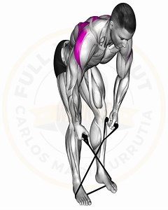 Hombros de Acero con Bandas | Full workout