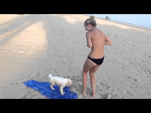 Dog pulls down woman's bikini top in hilarious video