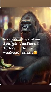 Bring your inner monkey to Værftet⚓️ Så skåler vi på weekenden sammen🤗 | Æ Klæg