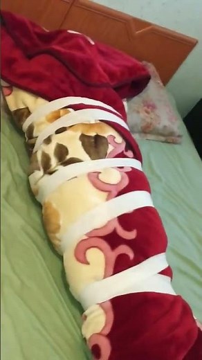 After Launch She wrapped & Tied me In Blankets 😌😍 #weightedblanket