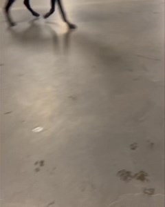 Fellow #fathead Hank is kind of on the other end of the #mondaymotivation scale...  Oh, n the wet marks on the floor aren't from them being messy drinkers- that's all the leaky faucet Hank drips I was saying earlier... 﫢 | Just Fur Kids Dog Daycare | Facebook