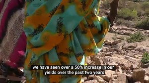 A Transformational Change Local Action for Improvement of Community Livelihoods in Eritrea and Global | Eplf Hgdef Vision Room Paltalk